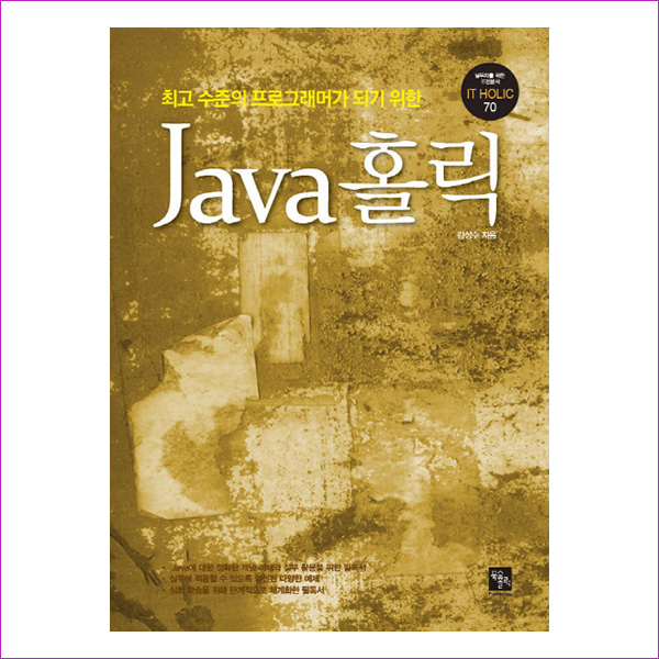 Java 홀릭(최고 수준의 프로그래머가 되기 위한)(IT Holic 70)