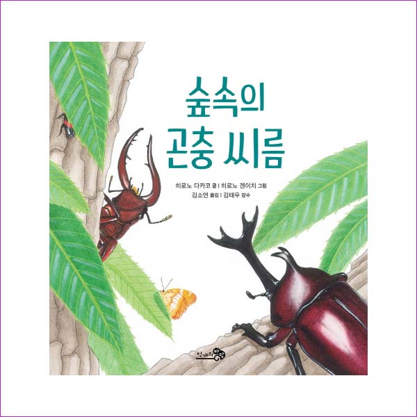 숲속의 곤충 씨름(바람그림책 78)