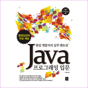Java 프로그래밍 입문(IT Holic 66)